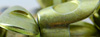 Fish-Skull® Oren Chartreuse Baitfish Head - Moyen (0.9 cm)
